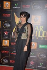 Richa Chadda at The Renault Star Guild Awards Ceremony in NSCI, Mumbai on 16th Jan 2014